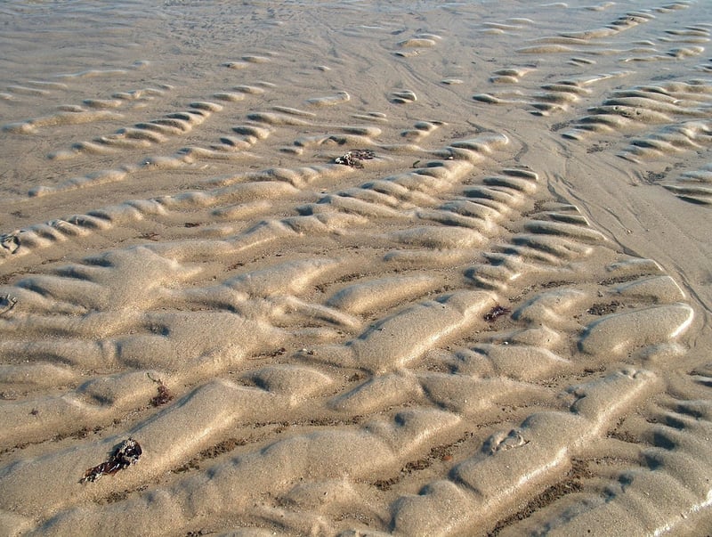 Healthy Soil